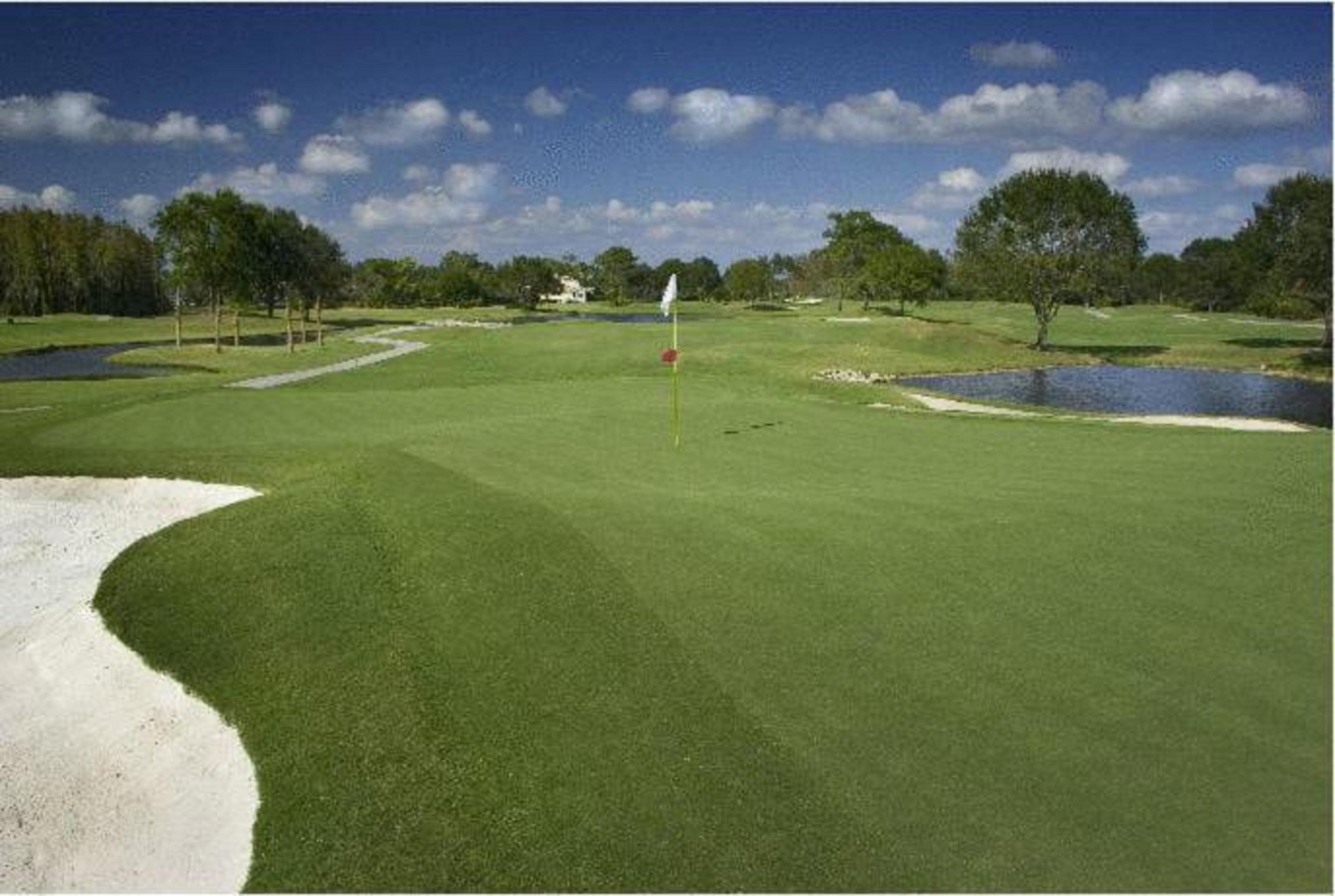 Saddlebrook Golf Resort & Spa Tampa North-Wesley Chapel Zewnętrze zdjęcie